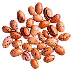 Borlotti-Bohnen