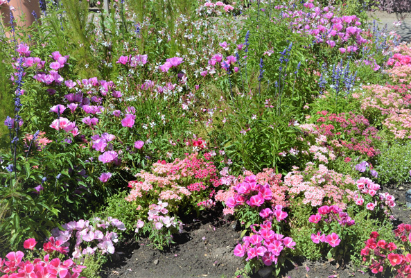 Blumenbeet