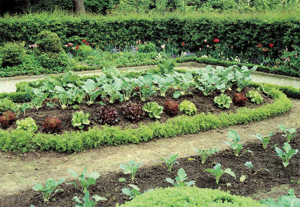 Biogarten