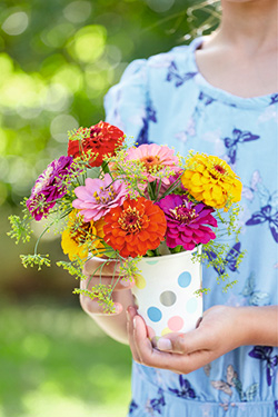 Zinnienstrauß