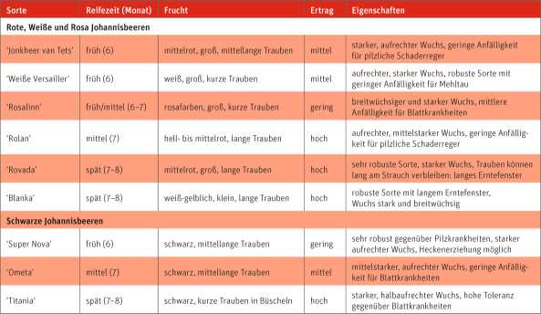 Tabelle: Bewährte Sorten für den Kleingarten