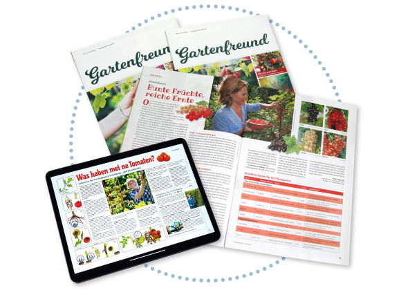 So entsteht Ihr Gartenfreund