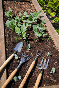 Kent & Stowe - handgefertigte Gartenwerkzeuge