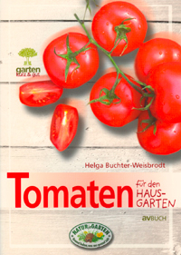 Toamten