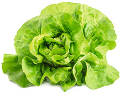 Kopfsalat