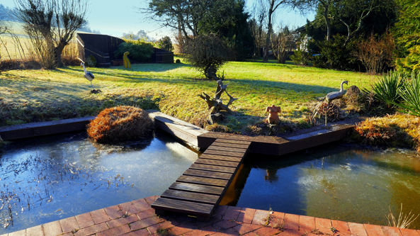 Teich im Winter