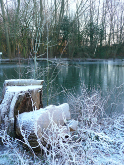 Winterteich
