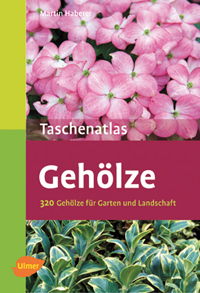 Buchtipp Pflanzenführer