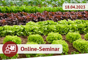 Online-Seminar, 30.01.2023