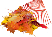 Herbstzputz