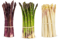 Spargel