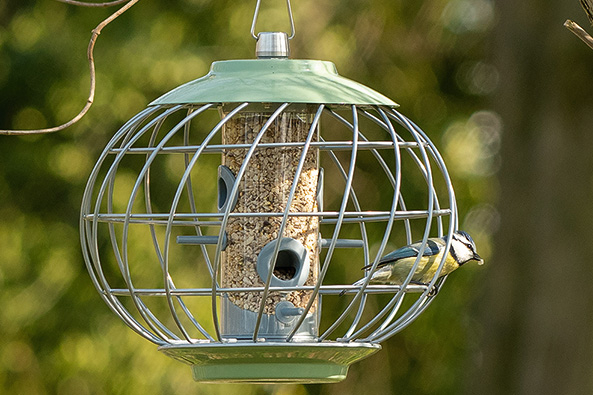 Vogelfutter schützen