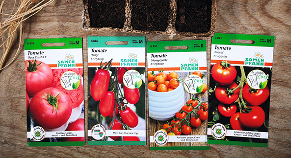Geschmack im Tomatengarten