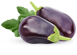 Aubergine