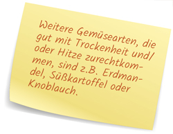 Süßkartoffel - Knoblauch - Erdmandel