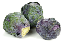 Gartenschatz - Rosenkohl