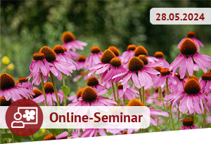 Online Seminar - Stauden