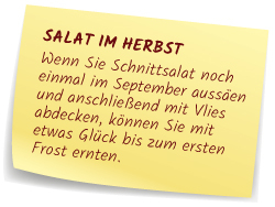 Salat im Herbst