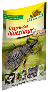 Nützlinge gegen Bodenschädlinge