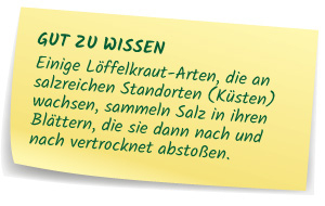 Gut zu wissen - Löffelkraus-Arten