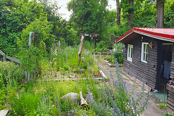 Ideenwettbewerb für naturnahe Kleingärten