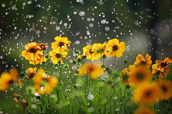 Regen speichern, wo er fällt