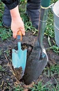 Kompost im Garten