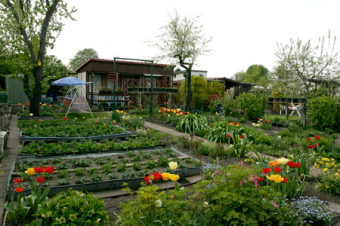 April ist Hochsaison im Garten
