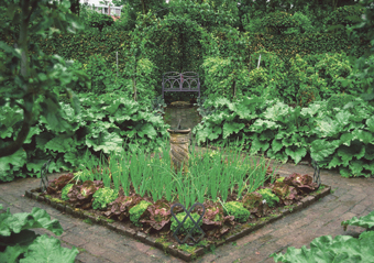 Gemüsegarten