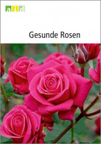 Rosen