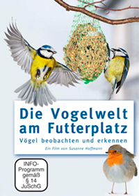 Vögel beobachten und erkennen