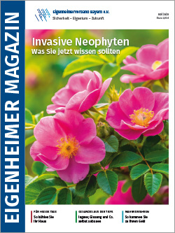Eigenheimer Magazin