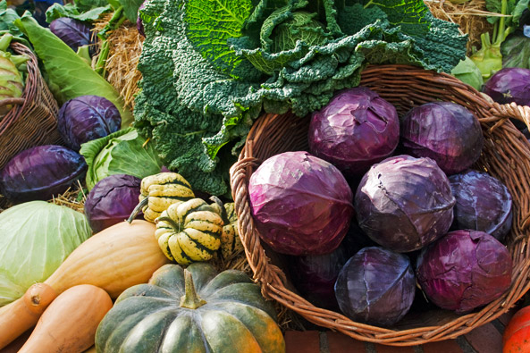 Herbst bietet reiche Ernte