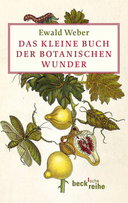 2500 Wildpflanzenarten