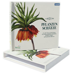 Pflanzenschätze bergen