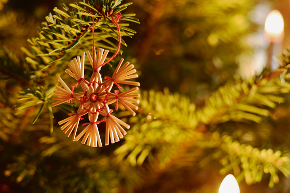 Naturmaterialien für Weihnachtsschmuck