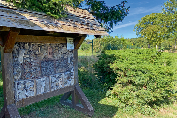 „Insektenhotel“-Projekt