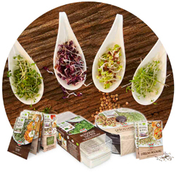 Keimsprossen und Microgreens von SPERLI