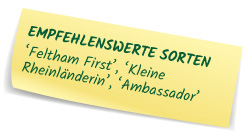 Empfehlenswerte Sorten