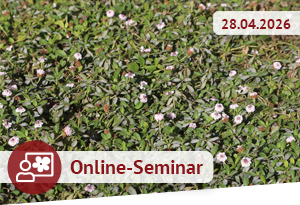 Online-Seminar am 28.04.2025