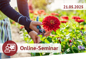 Online-Seminar am 15.04.2025