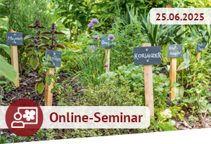 Online-Seminar am 25.06.2025