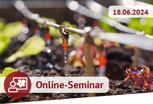 Online-Seminar am 18.06.2024