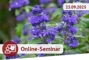 Online-Seminar am 23.09.2025