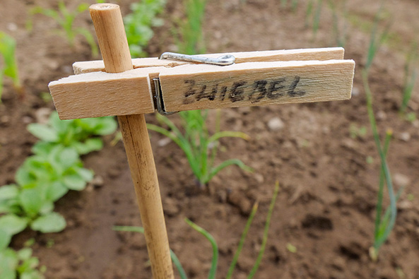 Gartentipp: Umweltfreundlich etikettieren