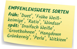 Empfehlenswerte Sorten