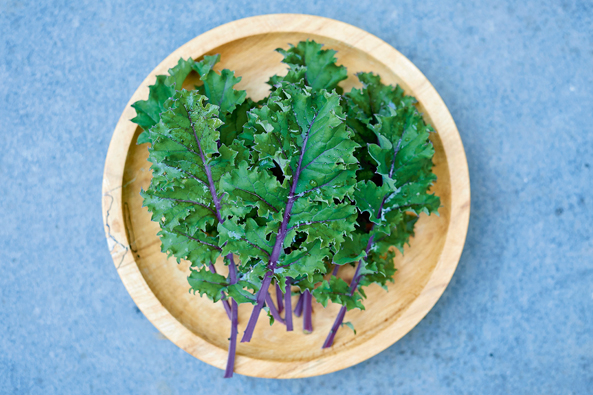 Red Russian Kale