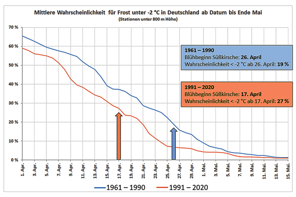 Steigende Spätfrostgefahr