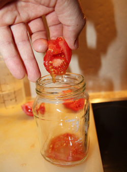 Tomaten ausdrücken