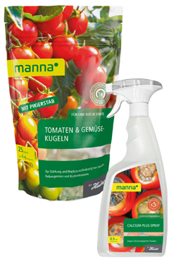 Pflege für Tomatenpflanzen